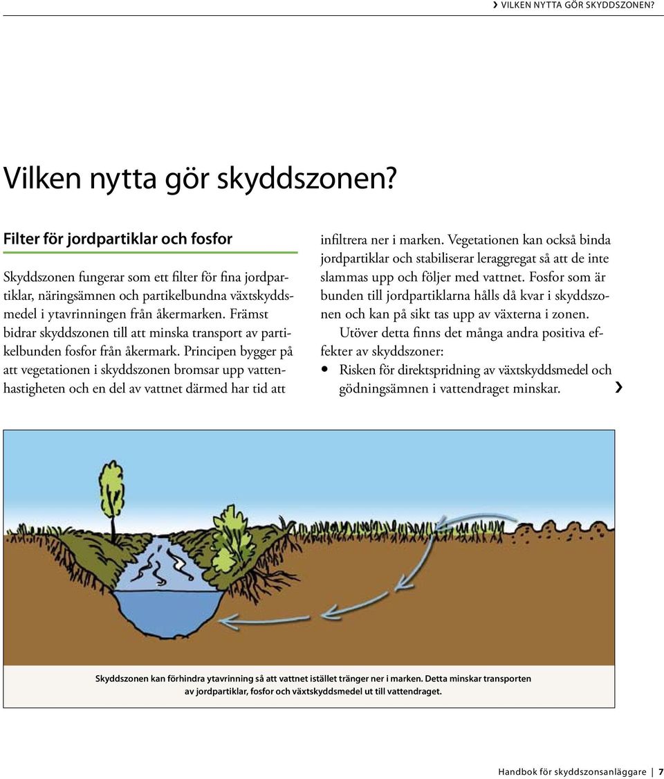 Främst bidrar skyddszonen till att minska transport av partikelbunden fosfor från åkermark.