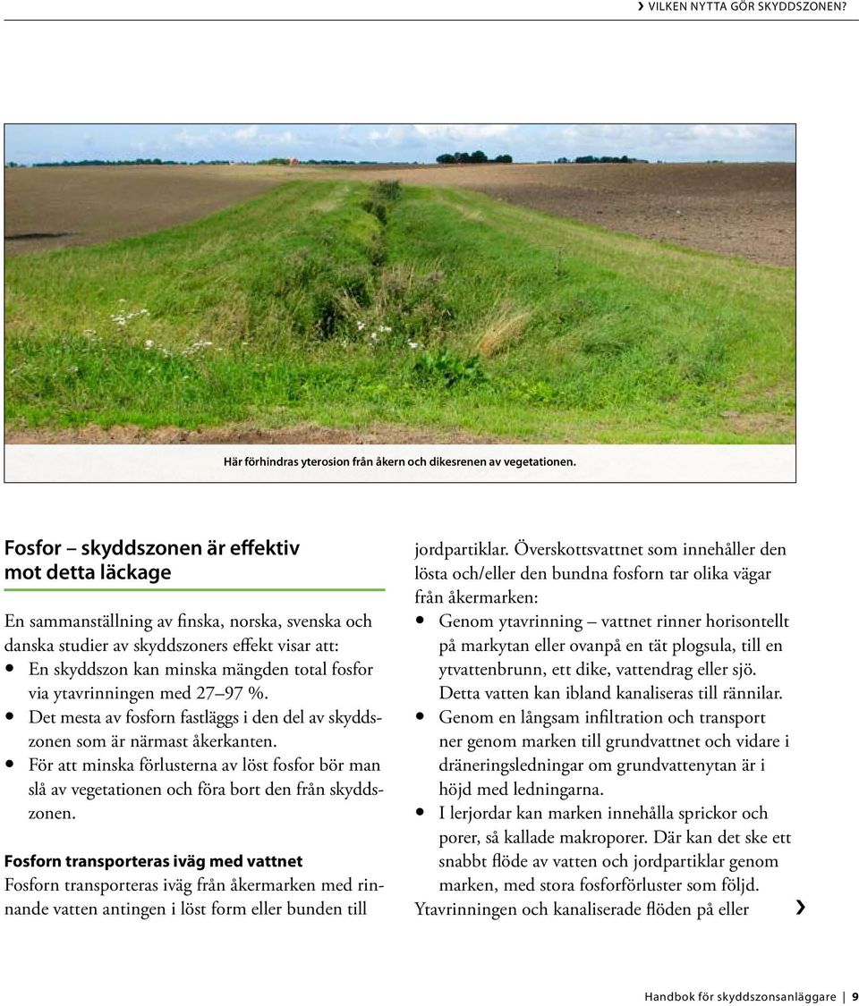 ytavrinningen med 27 97 %. Det mesta av fosforn fastläggs i den del av skyddszonen som är närmast åkerkanten.