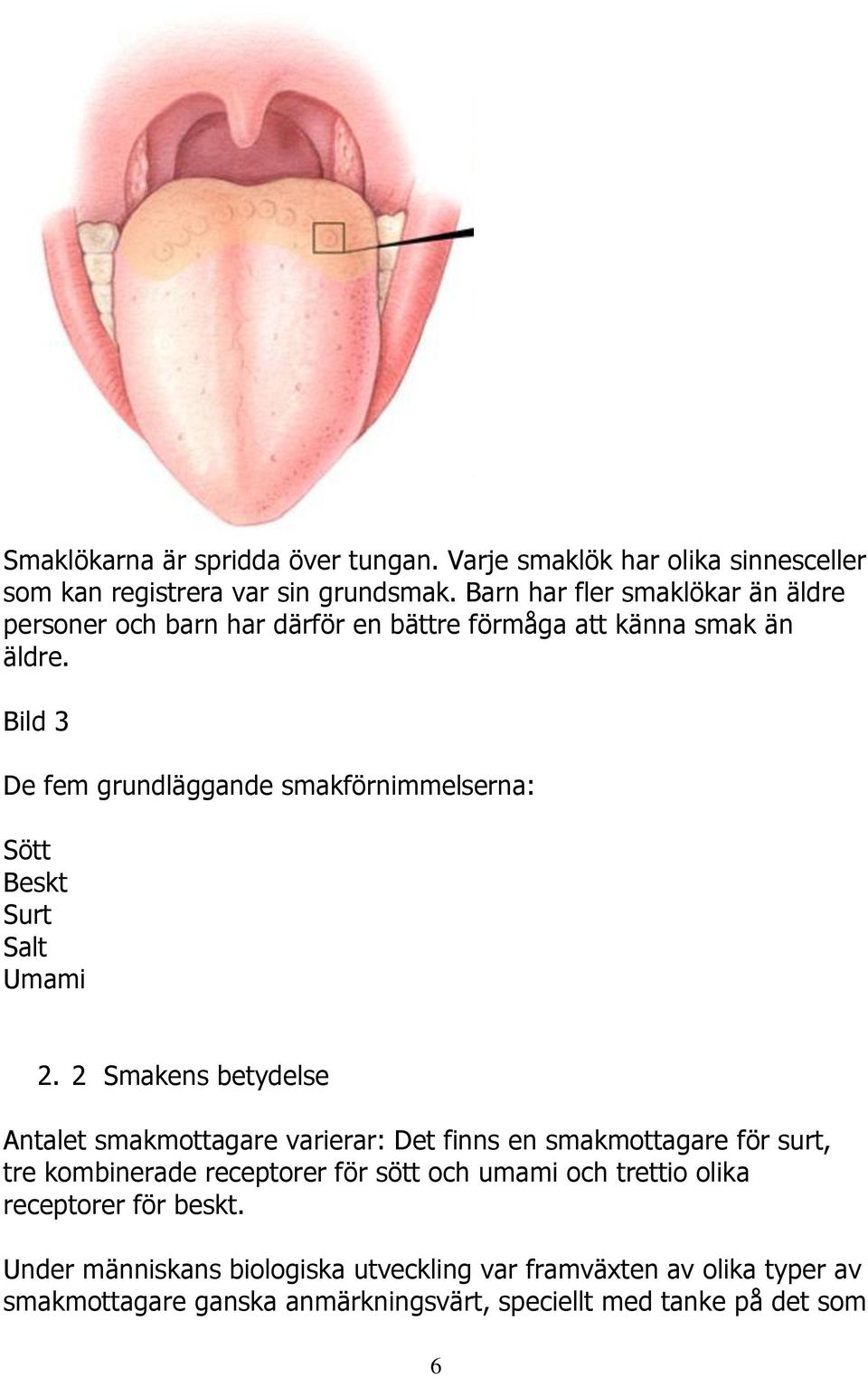 Bild 3 De fem grundläggande smakförnimmelserna: Sött Beskt Surt Salt Umami 2.