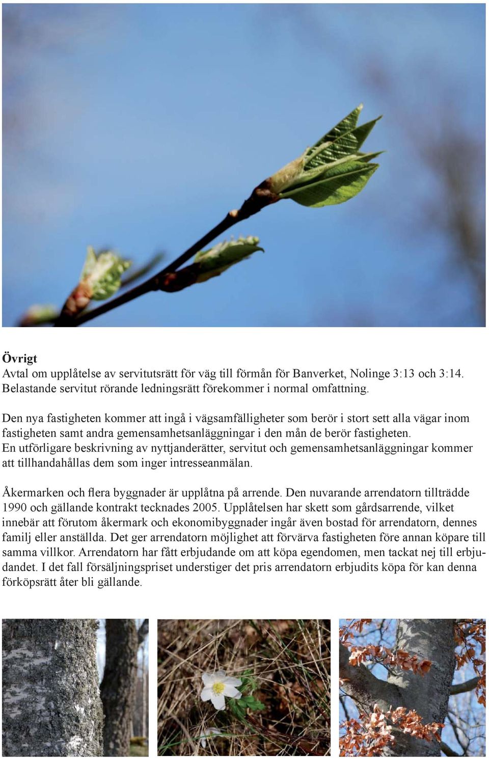 En utförligare beskrivning av nyttjanderätter, servitut och gemensamhetsanläggningar kommer att tillhandahållas dem som inger intresseanmälan. Åkermarken och flera byggnader är upplåtna på arrende.
