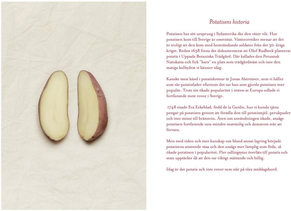 Redan 1658 finns det dokumenterat att Olof Rudbeck planterat potatis i Uppsala Botaniska Trädgård.