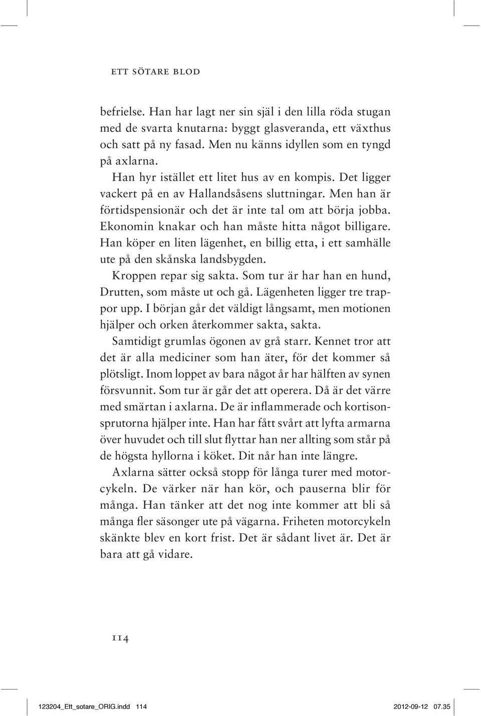 Ekonomin knakar och han måste hitta något billigare. Han köper en liten lägenhet, en billig etta, i ett samhälle ute på den skånska landsbygden. Kroppen repar sig sakta.