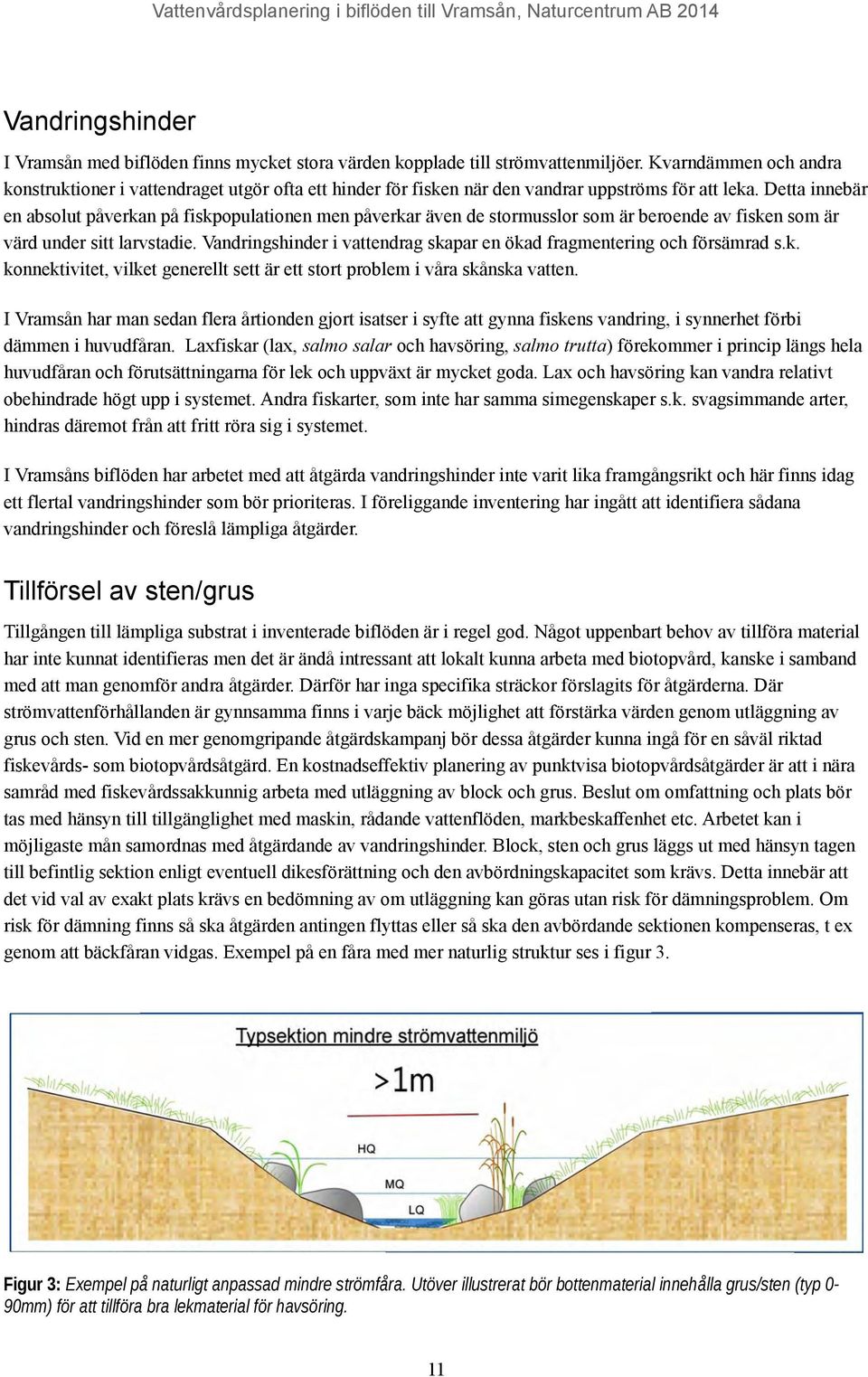 Detta innebär en absolut påverkan på fiskpopulationen men påverkar även de stormusslor som är beroende av fisken som är värd under sitt larvstadie.