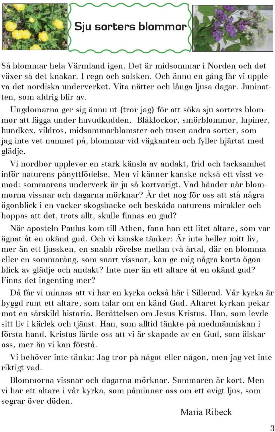 Blåklockor, smörblommor, lupiner, hundkex, vildros, midsommarblomster och tusen andra sorter, som jag inte vet namnet på, blommar vid vägkanten och fyller hjärtat med glädje.