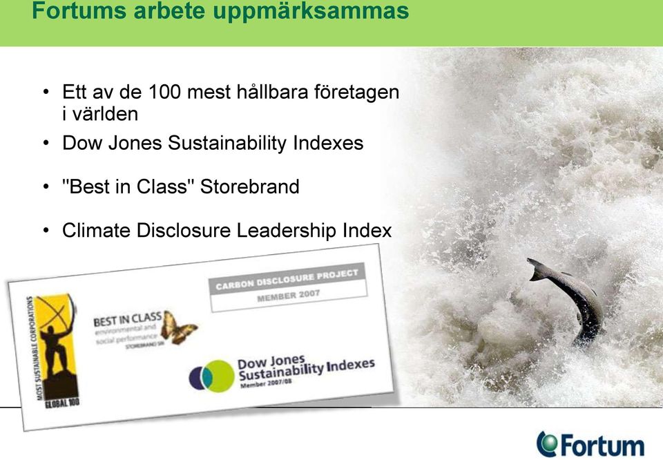 Jones Sustainability Indexes "Best in