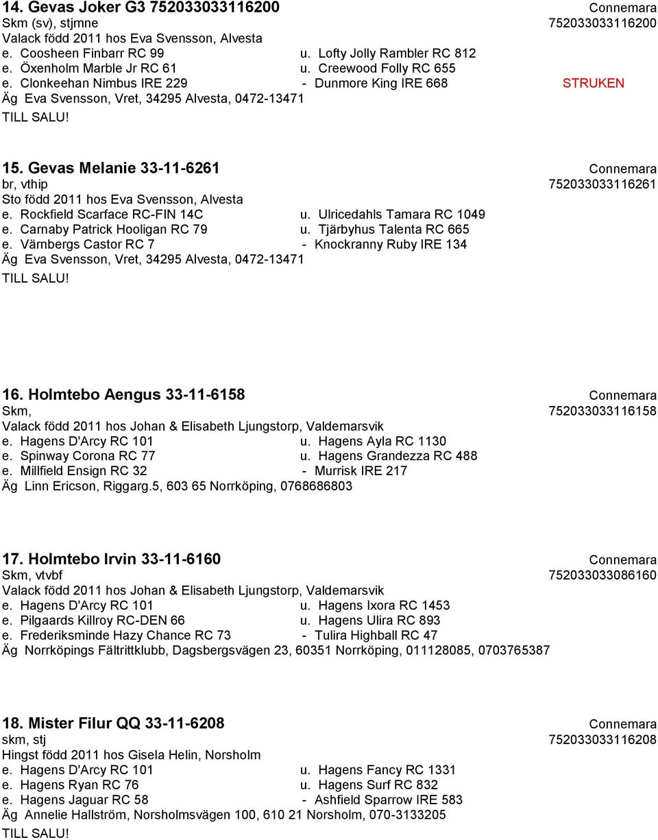 Gevas Melanie 33-11-6261 Connemara br, vthip 752033033116261 Sto född 2011 hos Eva Svensson, Alvesta e. Rockfield Scarface RC-FIN 14C u. Ulricedahls Tamara RC 1049 e. Carnaby Patrick Hooligan RC 79 u.