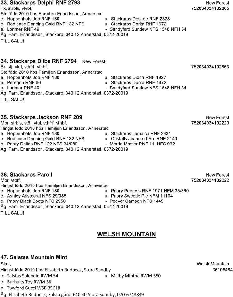 Stackarps Dilba RNF 2794 New Forest Br, stj, vtul, vthfrf, vthbf. 752034034102863 Sto född 2010 hos Familjen Erlandsson, Annerstad e. Hoppenhofs Jop RNF 180 u. Stackarps Diona RNF 1927 e.