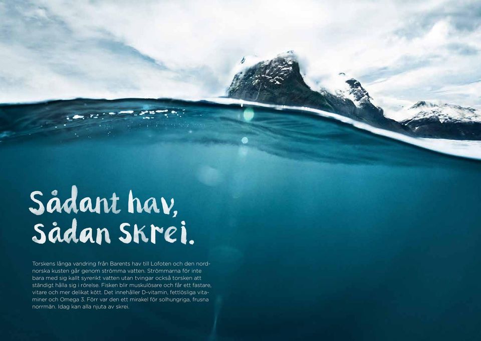 rörelse. Fisken blir muskulösare och får ett fastare, vitare och mer delikat kött.