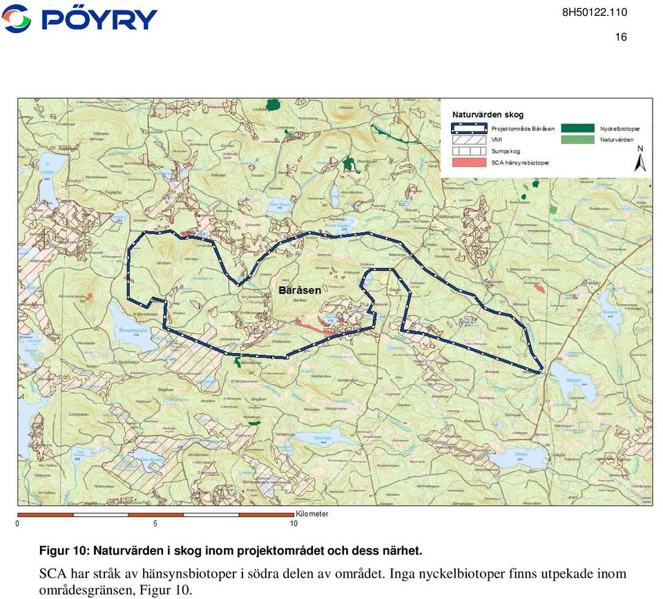 SCA har stråk av hänsynsbiotoper i södra delen