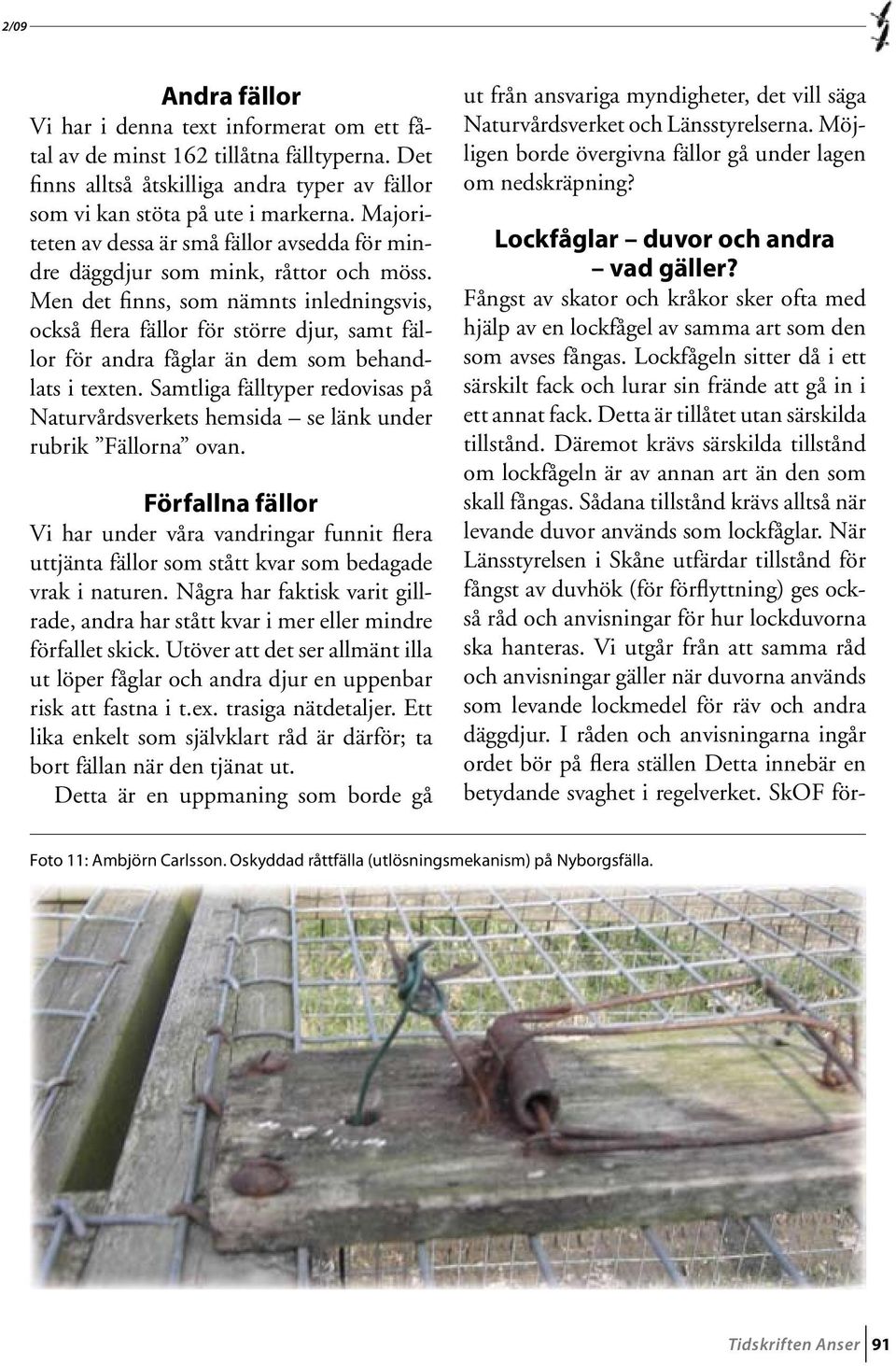 Men det finns, som nämnts inledningsvis, också flera fällor för större djur, samt fällor för andra fåglar än dem som behandlats i texten.