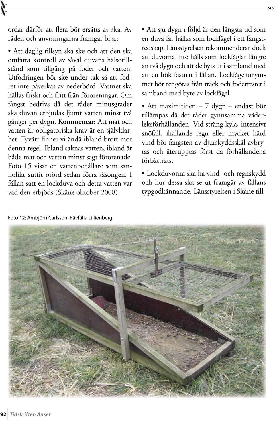 Om fångst bedrivs då det råder minusgrader ska duvan erbjudas ljumt vatten minst två gånger per dygn. Kommentar: Att mat och vatten är obligatoriska krav är en självklarhet.