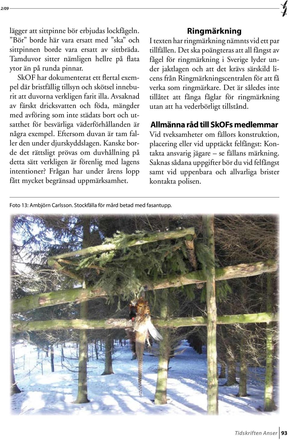 Avsaknad av färskt dricksvatten och föda, mängder med avföring som inte städats bort och utsatthet för besvärliga väderförhållanden är några exempel.
