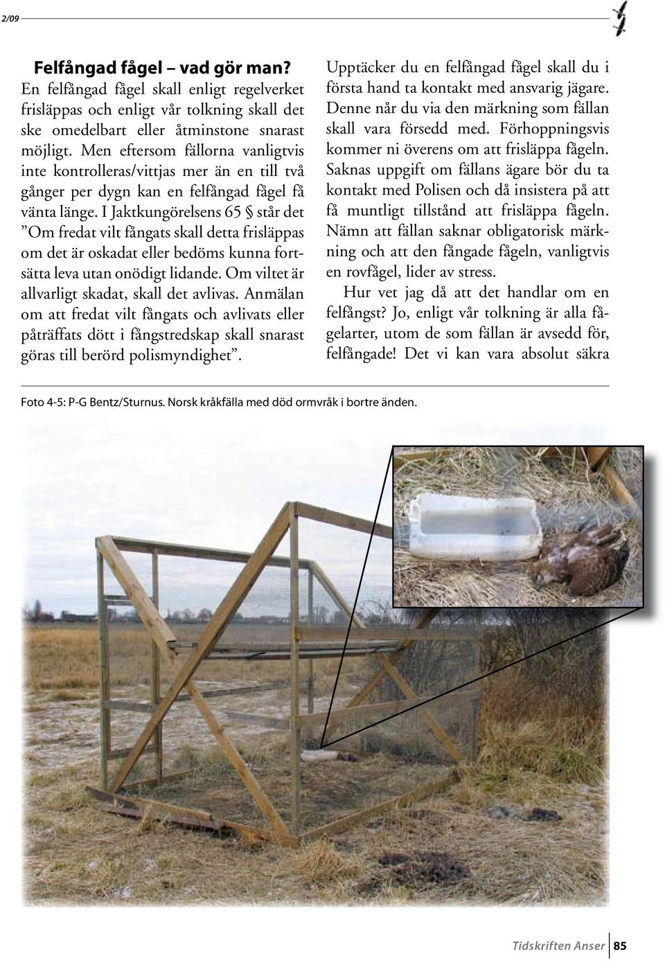 I Jaktkungörelsens 65 står det Om fredat vilt fångats skall detta frisläppas om det är oskadat eller bedöms kunna fortsätta leva utan onödigt lidande.