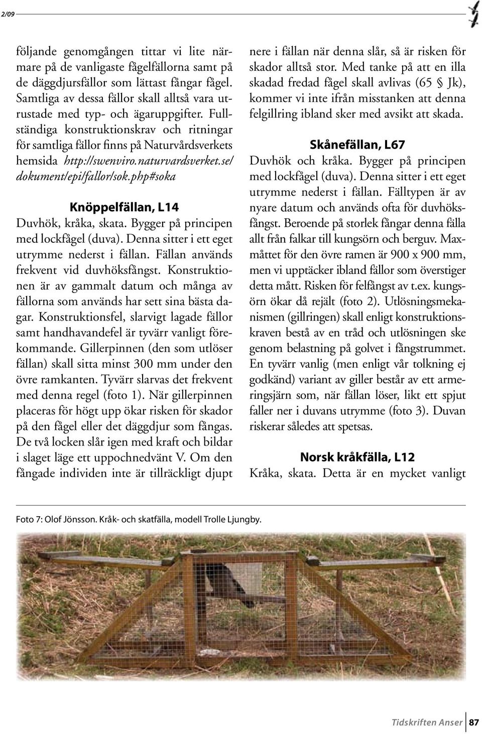 naturvardsverket.se/ dokument/epi/fallor/sok.php#soka Knöppelfällan, L14 Duvhök, kråka, skata. Bygger på principen med lockfågel (duva). Denna sitter i ett eget utrymme nederst i fällan.