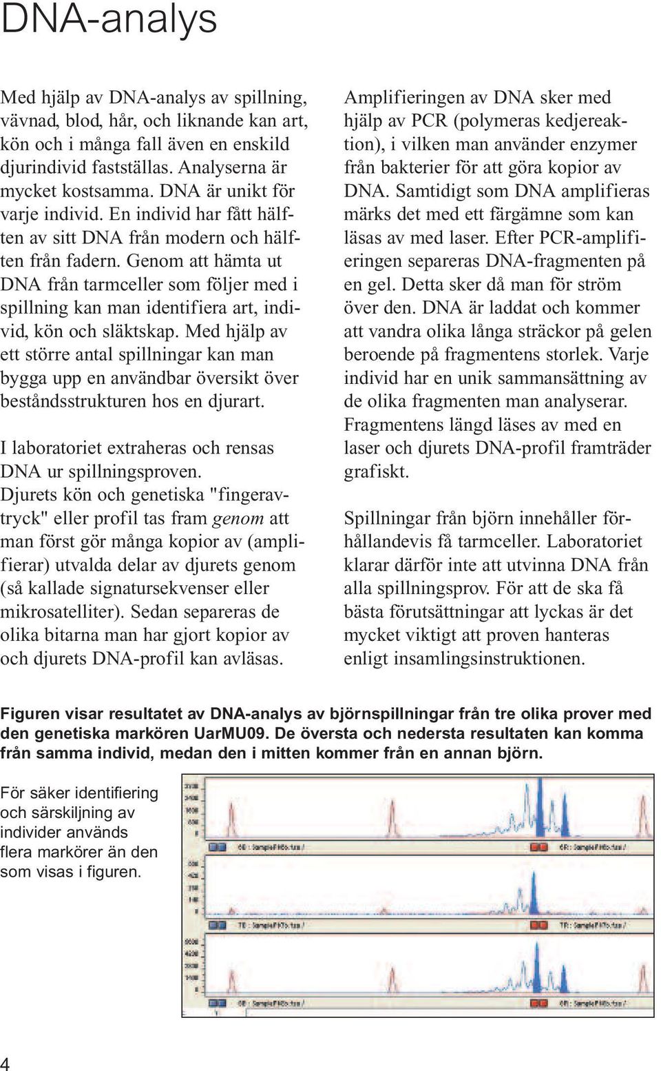 Genom att hämta ut DNA från tarmceller som följer med i spillning kan man identifiera art, individ, kön och släktskap.