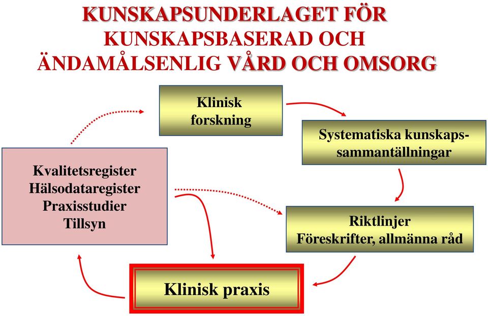 Praxisstudier Tillsyn Klinisk forskning Systematiska