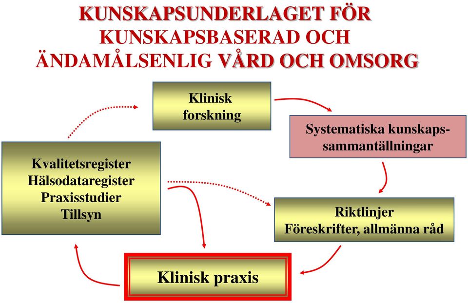 Praxisstudier Tillsyn Klinisk forskning Systematiska