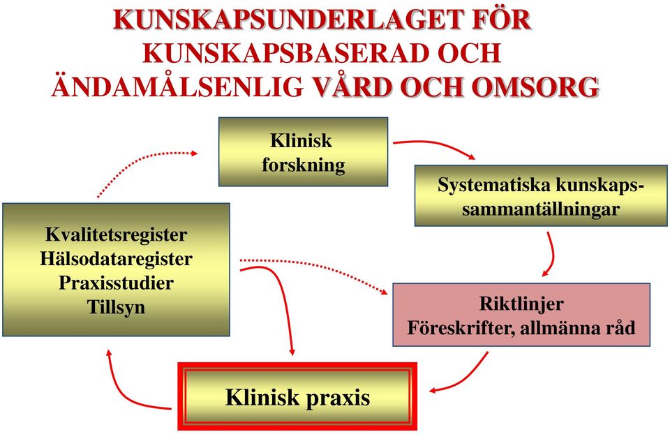 Praxisstudier Tillsyn Klinisk forskning Systematiska