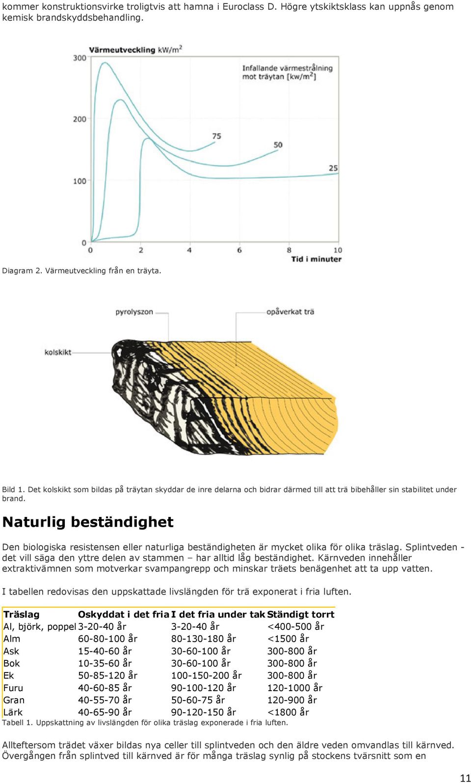 Naturlig beständighet Den biologiska resistensen eller naturliga beständigheten är mycket olika för olika träslag. Splintveden - det vill säga den yttre delen av stammen har alltid låg beständighet.