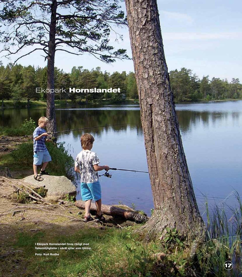 fiskemöjligheter i såväl sjöar