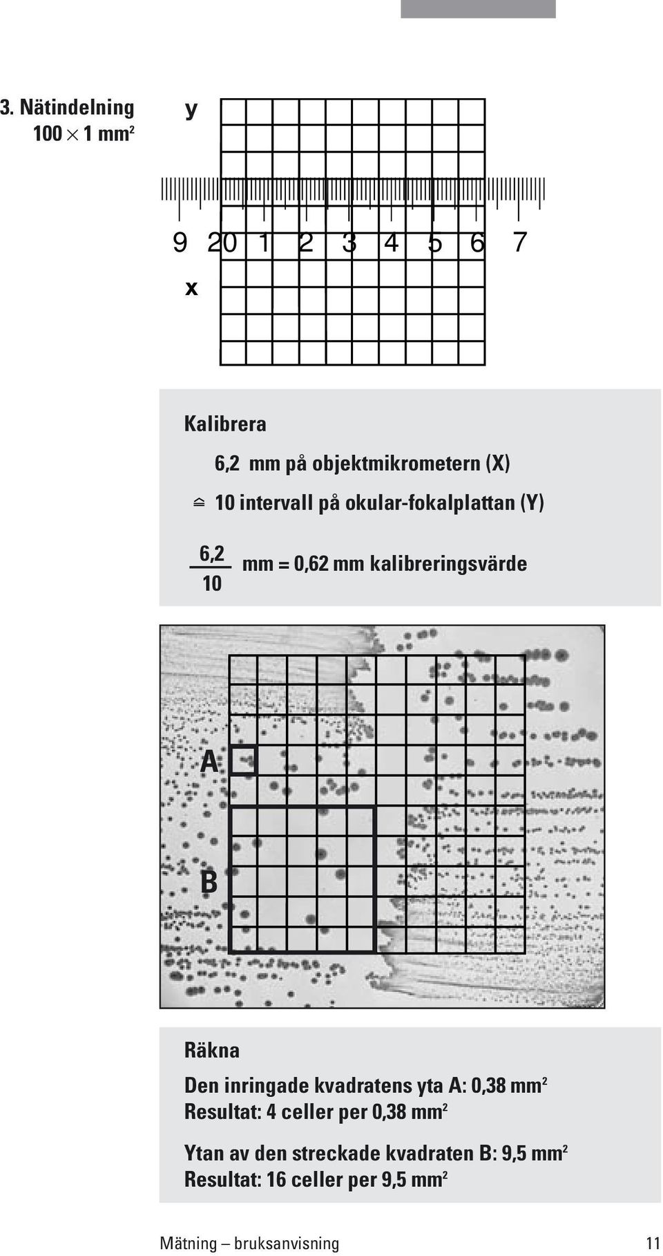Räkna Den inringade kvadratens yta A: 0,38 mm 2 Resultat: 4 celler per 0,38 mm 2 Ytan av
