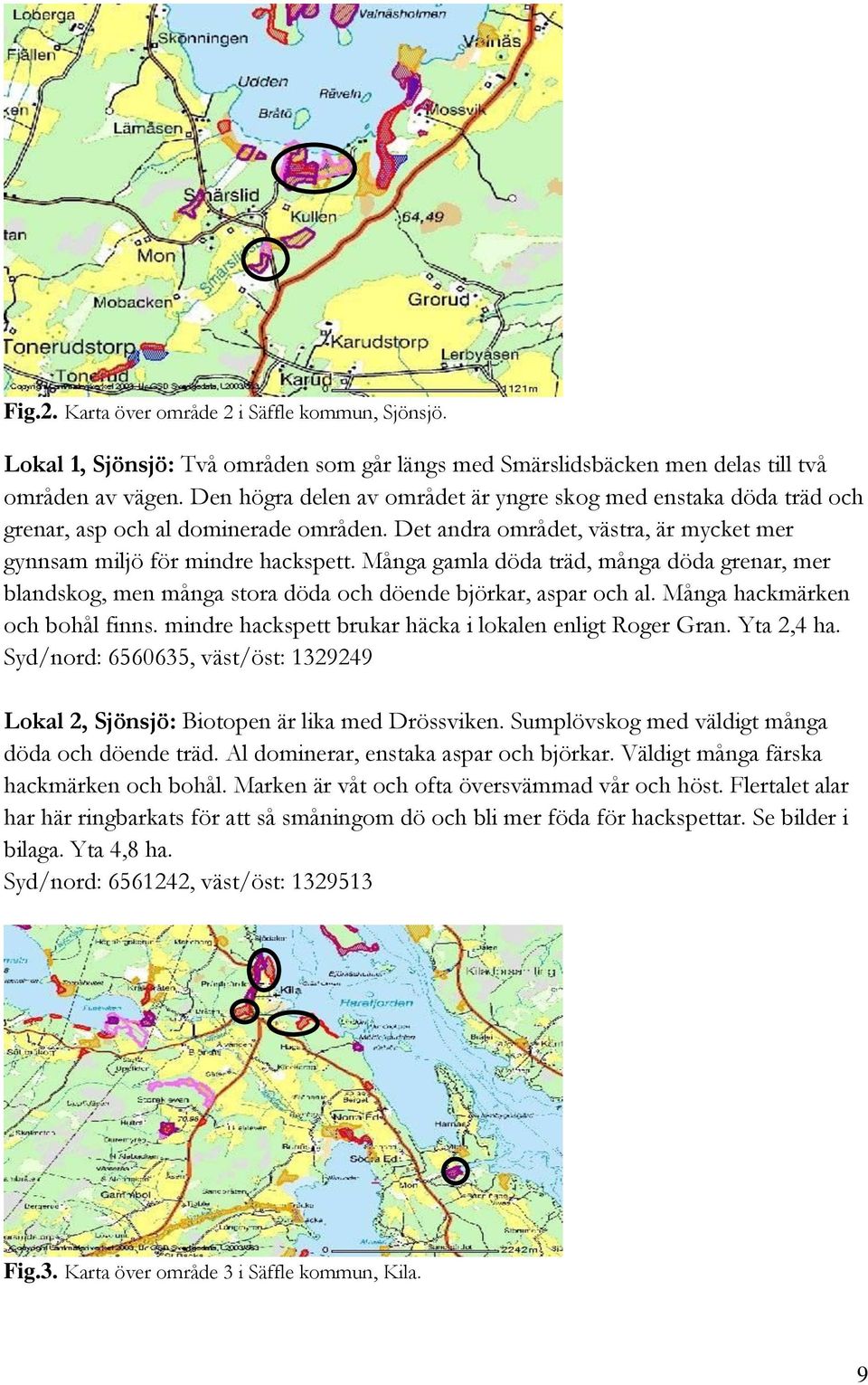Många gamla döda träd, många döda grenar, mer blandskog, men många stora döda och döende björkar, aspar och al. Många hackmärken och bohål finns.