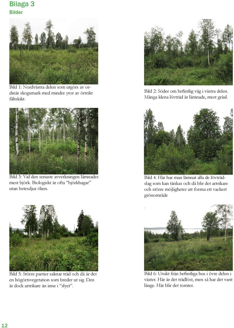 Bild 4: Här har man lämnat alla de lövträdslag som kan tänkas och då blir det artrikare och större möjligheter att forma ett vackert grönområde Bild 5: Större partier saknar träd