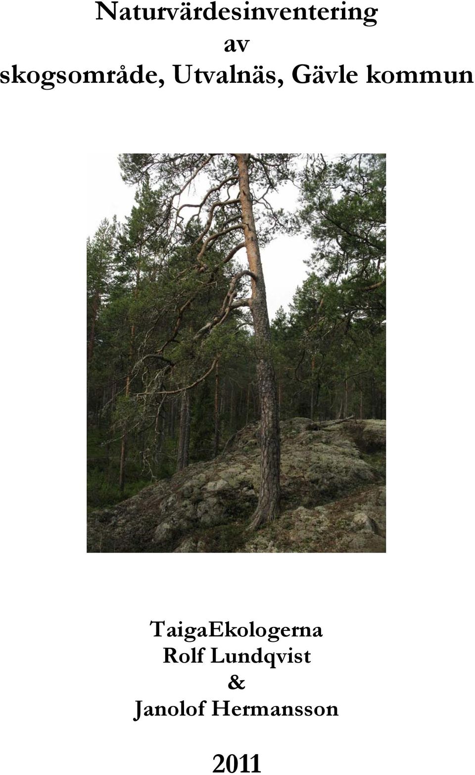 kommun TaigaEkologerna Rolf