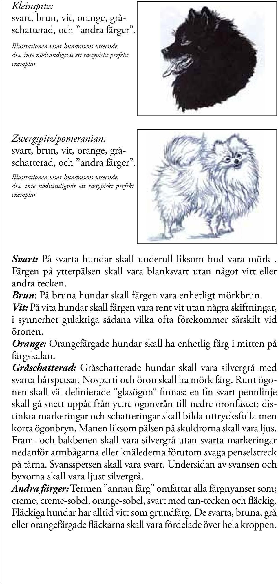 Vit: På vita hundar skall färgen vara rent vit utan några skiftningar, i synnerhet gulaktiga sådana vilka ofta förekommer särskilt vid öronen.