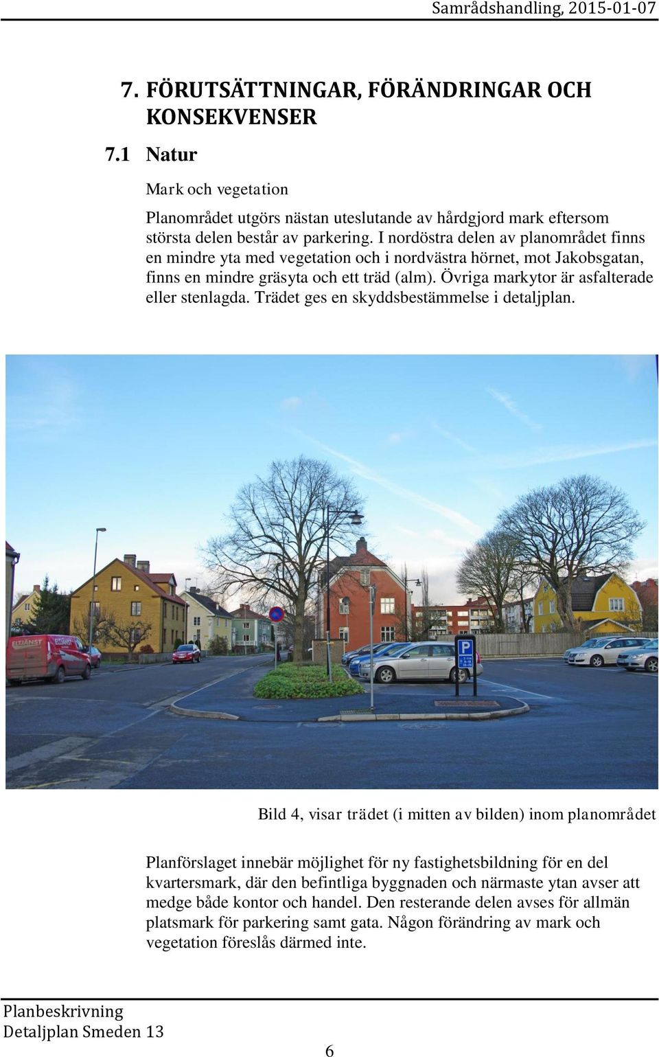 Övriga markytor är asfalterade eller stenlagda. Trädet ges en skyddsbestämmelse i detaljplan.