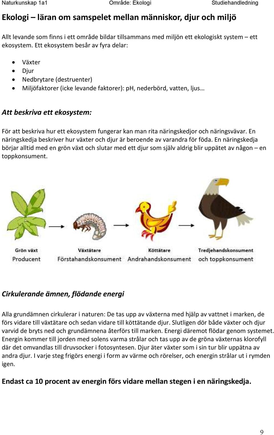 ekosystem fungerar kan man rita näringskedjor och näringsvävar. En näringskedja beskriver hur växter och djur är beroende av varandra för föda.