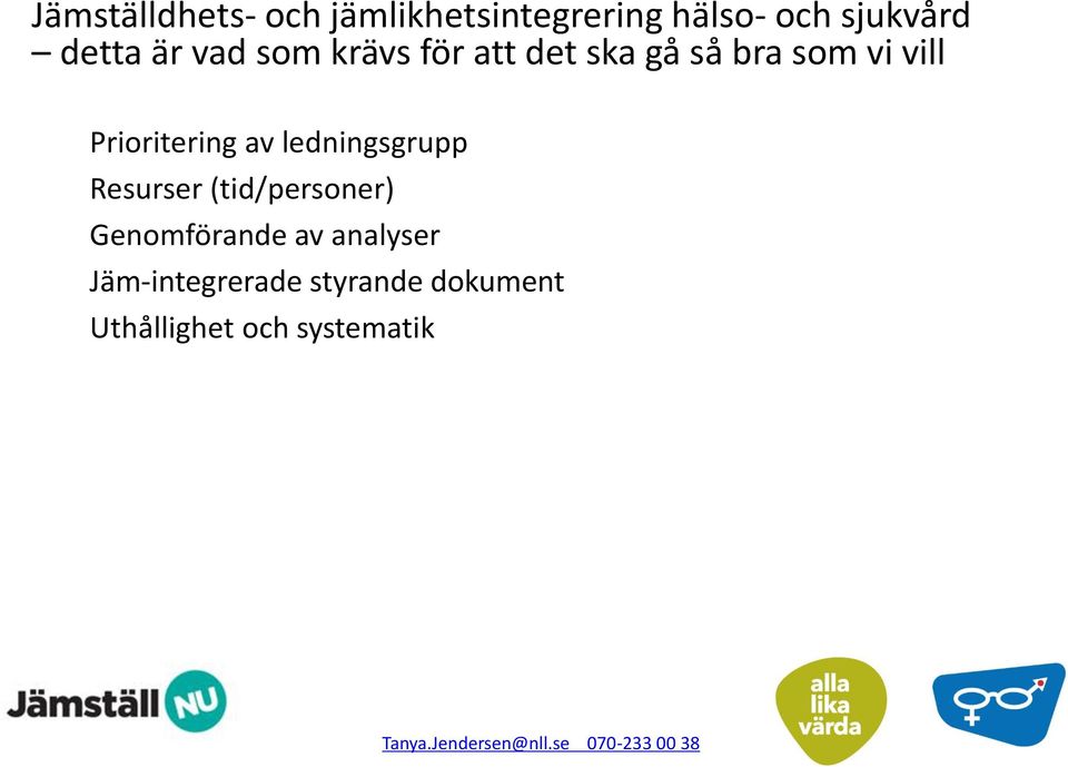 ledningsgrupp Resurser (tid/personer) Genomförande av analyser