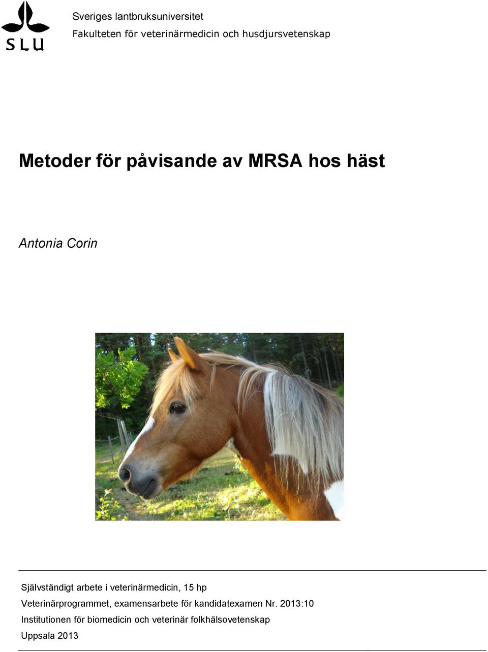 Självständigt arbete i veterinärmedicin, 15 hp Veterinärprogrammet,