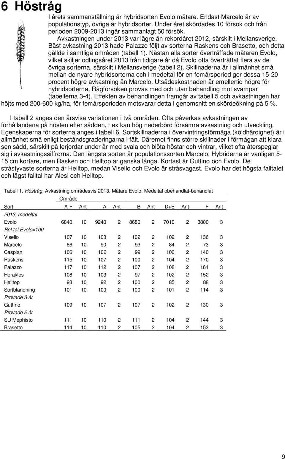 Bäst avkastning 2013 hade Palazzo följt av sorterna Raskens och Brasetto, och detta gällde i samtliga områden (tabell 1).
