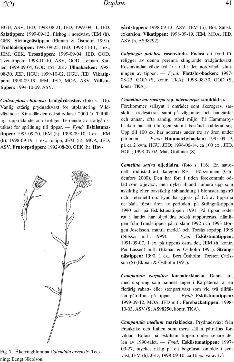Ullnabacken: 1998-08-30, JED, HGU; 1999-10-02, HGU, JED. Vikatippen; 1998-09-19, JEM, JED, MOA, ASV. Vällstatippen: 1994-10-09, ASV. Callistephus chinensis trädgårdsaster. (foto s. 116).