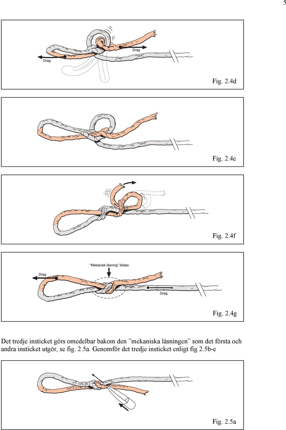 4e Fig. 2.