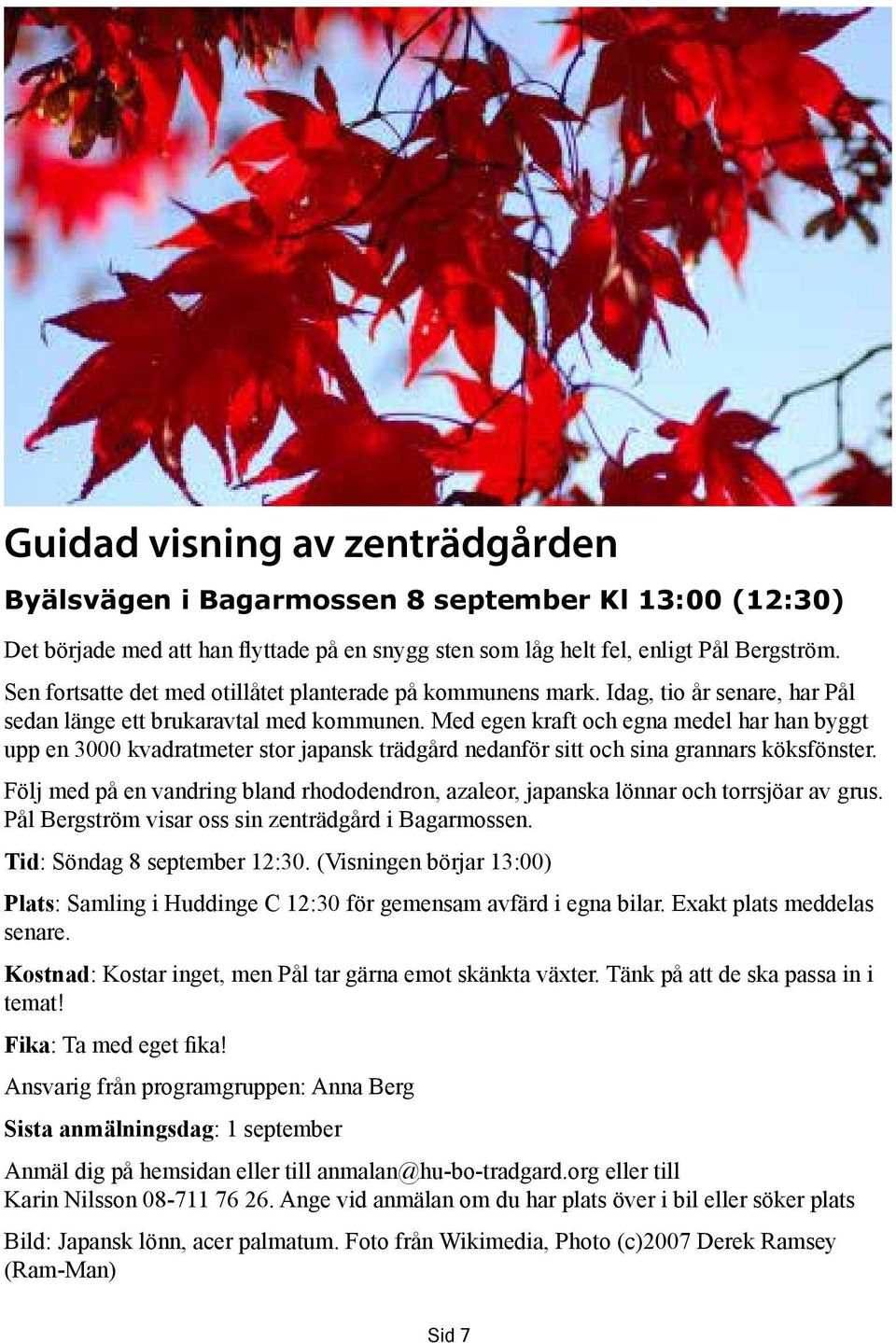 Med egen kraft och egna medel har han byggt upp en 3000 kvadratmeter stor japansk trädgård nedanför sitt och sina grannars köksfönster.