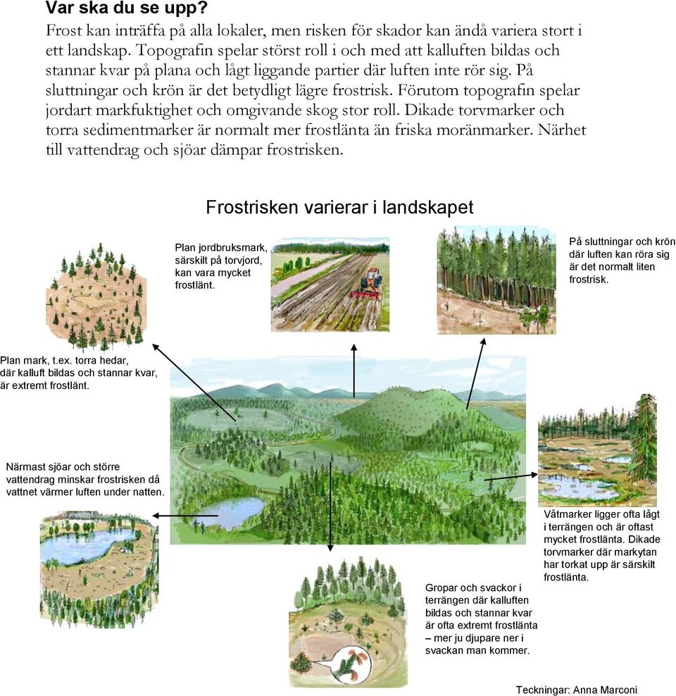 Förutom topografin spelar jordart markfuktighet och omgivande skog stor roll. Dikade torvmarker och torra sedimentmarker är normalt mer frostlänta än friska moränmarker.