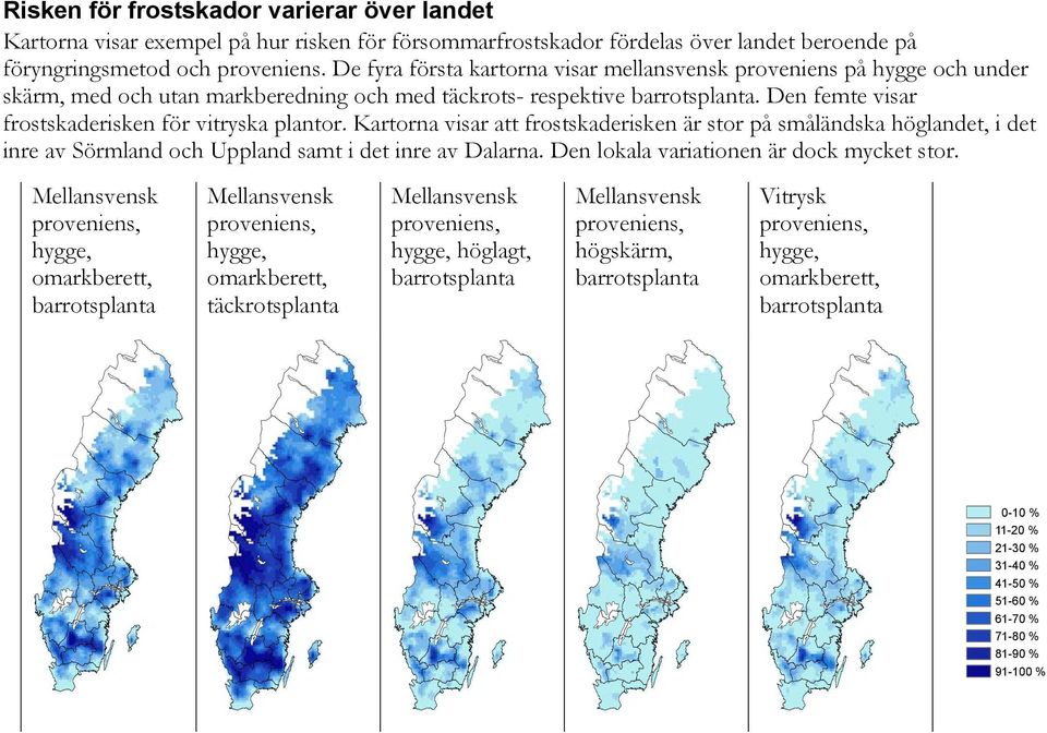 Den femte visar frostskaderisken för vitryska plantor.