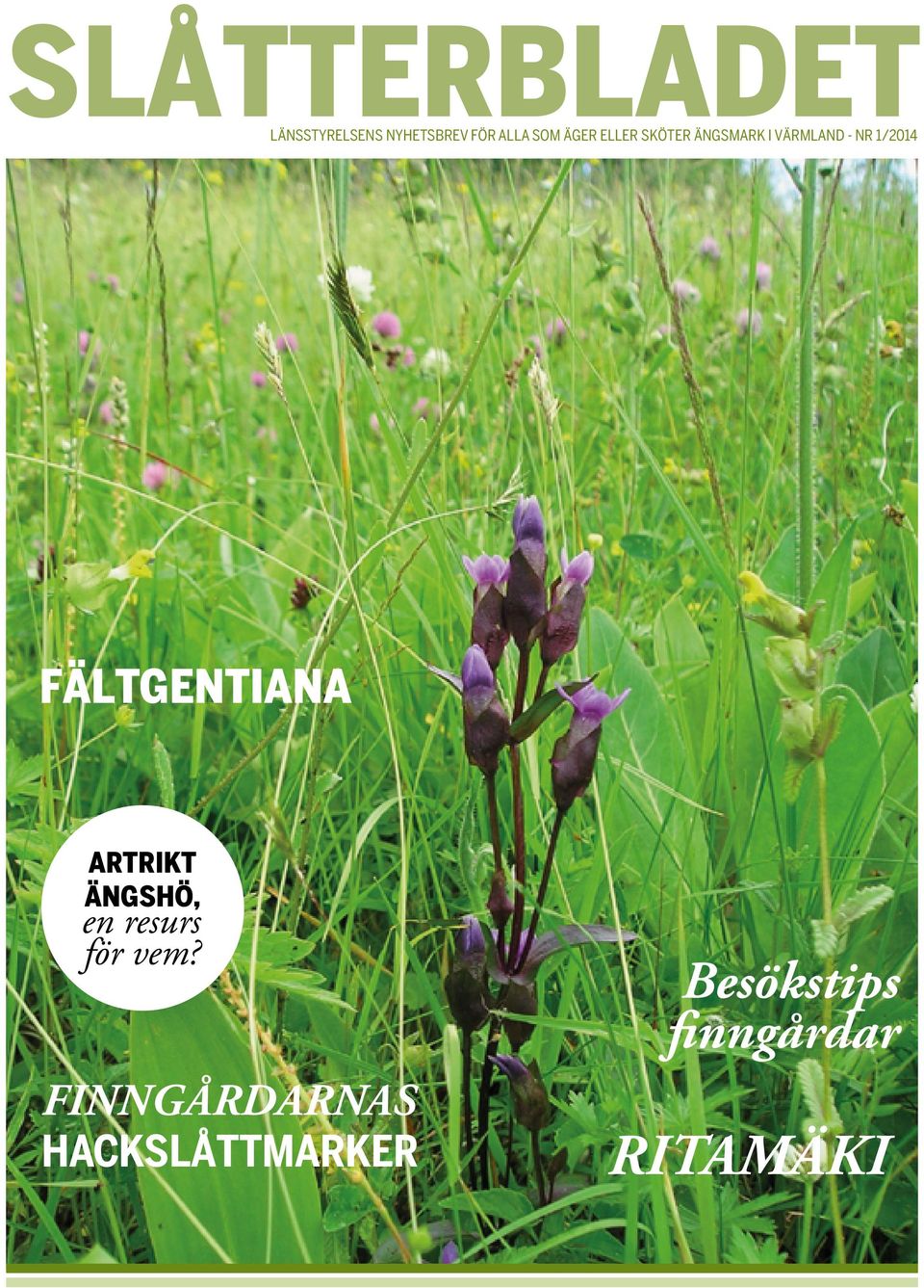 Fältgentiana Artrikt ängshö, en resurs för vem?