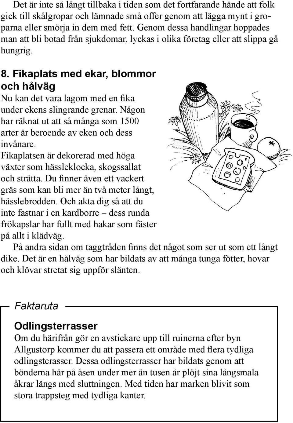 Fikaplats med ekar, blommor och hålväg Nu kan det vara lagom med en fika under ekens slingrande grenar. Någon har räknat ut att så många som 1500 arter är beroende av eken och dess invånare.