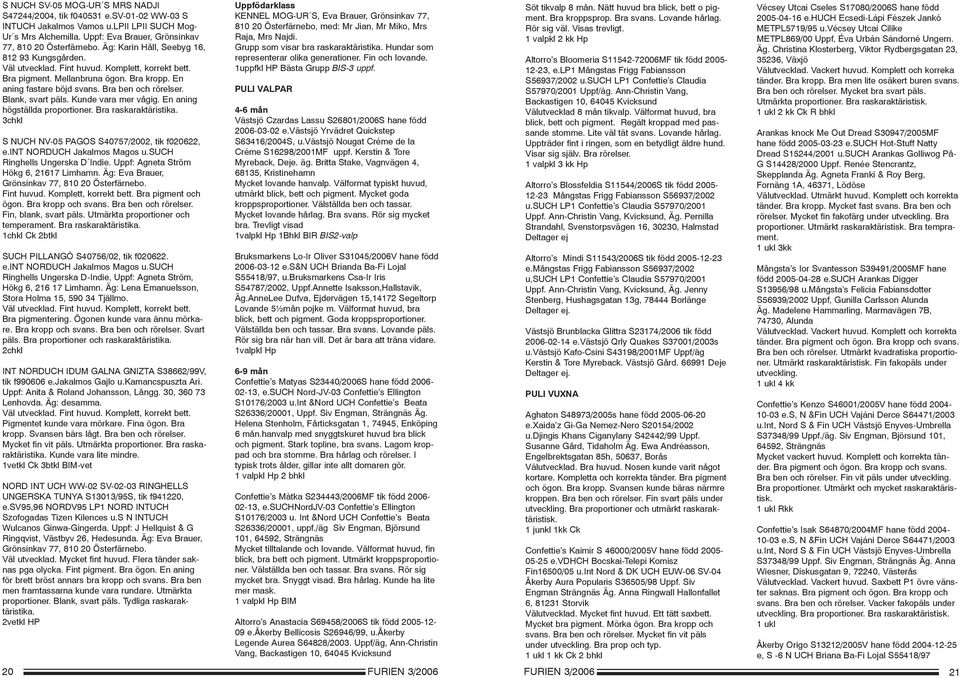 Blank, svart päls. Kunde vara mer vågig. En aning högställda proportioner. Bra raskaraktäristika. 3chkl S NUCH NV-05 PAGOS S40757/2002, tik f020622, e.int NORDUCH Jakalmos Magos u.
