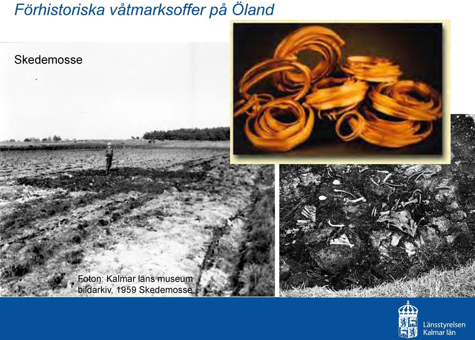 Skedemosse Foton: Kalmar