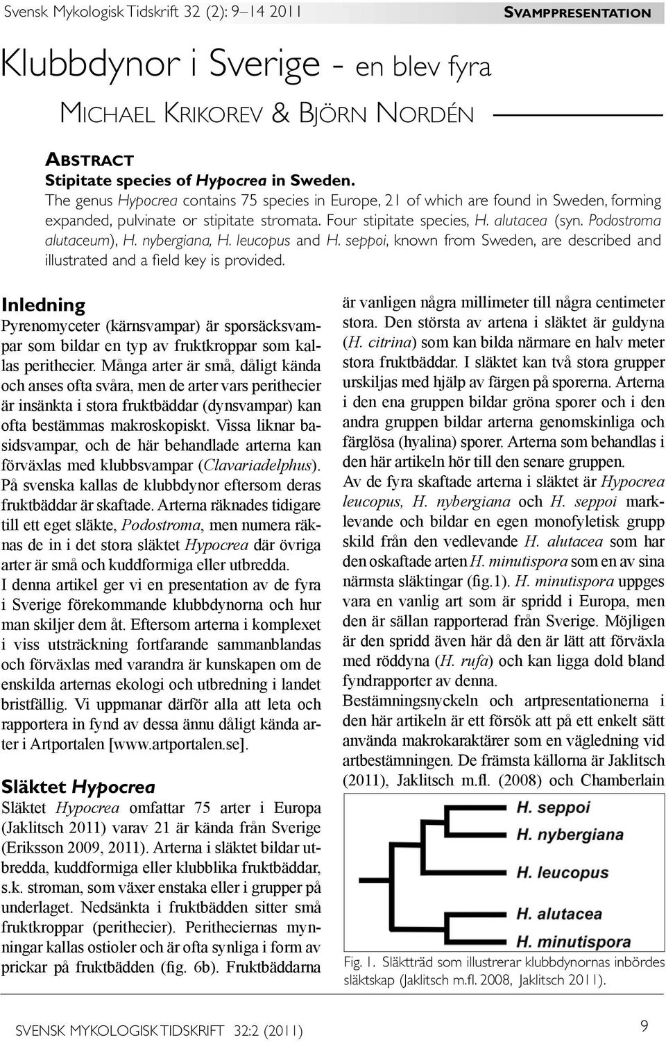 Podostroma alutaceum), H. nybergiana, H. leucopus and H. seppoi, known from Sweden, are described and illustrated and a field key is provided.