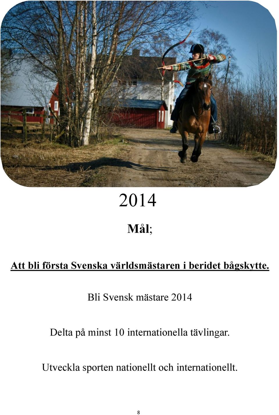 Bli Svensk mästare 2014 Delta på minst 10