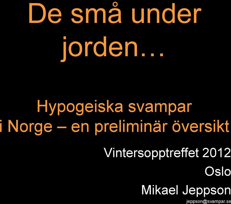 översikt Vintersopptreffet 2012