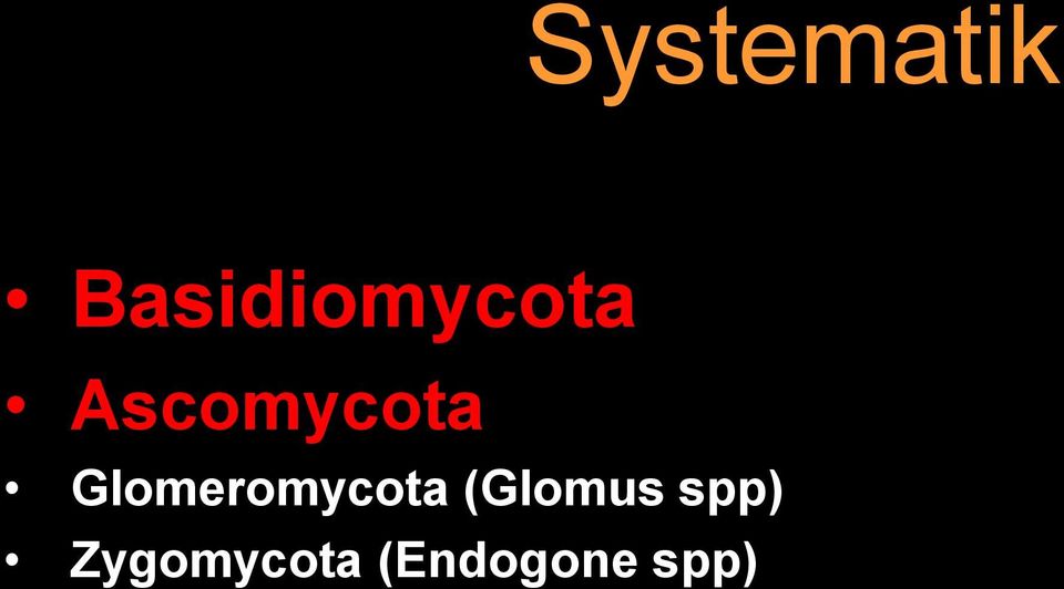 Ascomycota