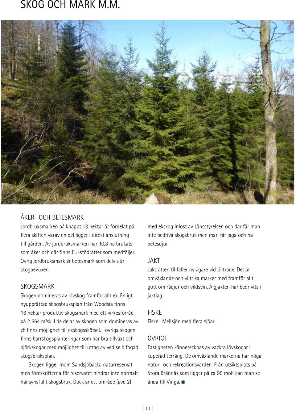 Skogsmark Skogen domineras av lövskog framför allt ek, Enligt nyupprättad skogsbruksplan från Woodsia finns 16 hektar produktiv skogsmark med ett virkesförråd på 2 564 m 3 sk.