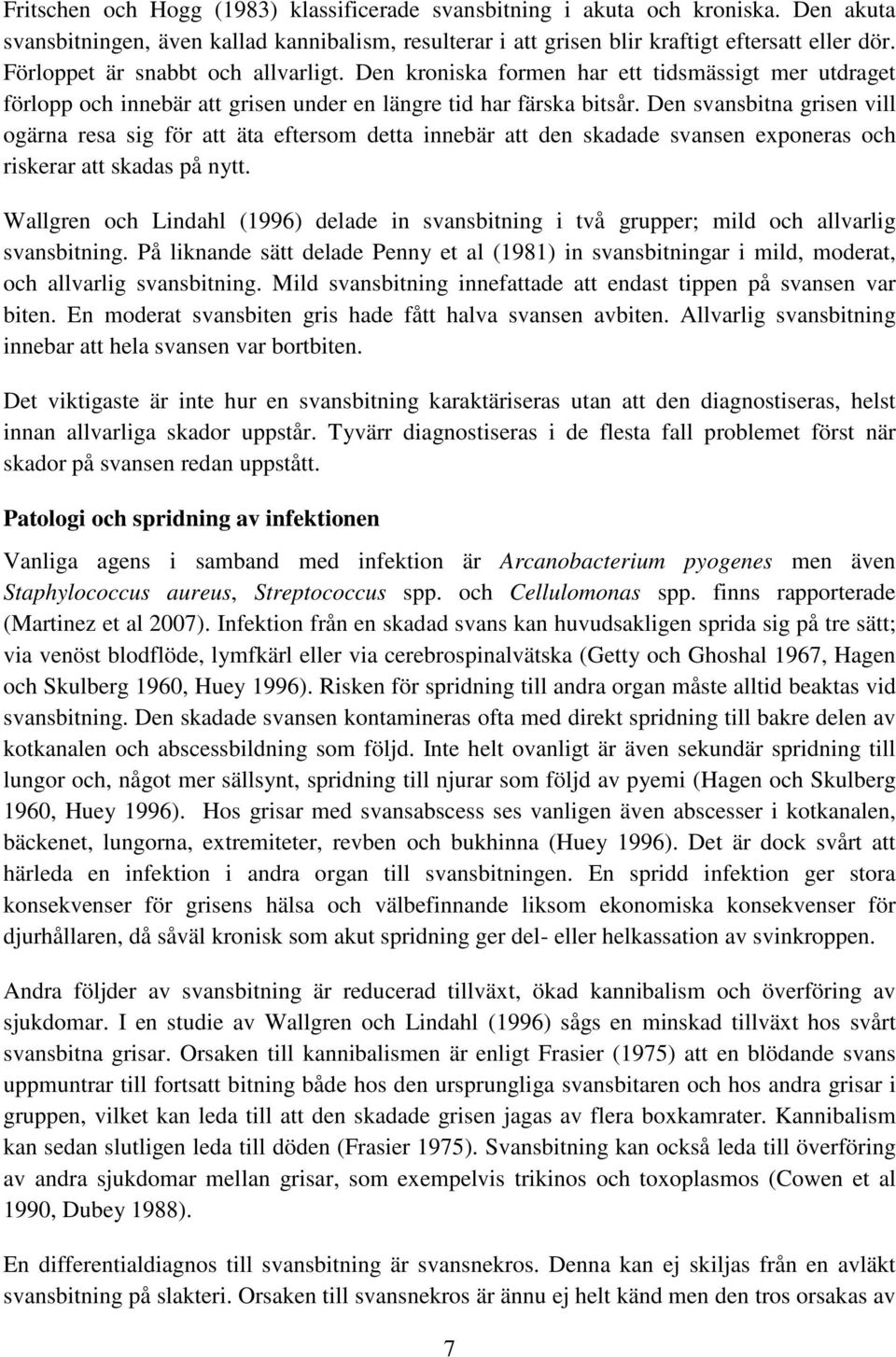 Den svansbitna grisen vill ogärna resa sig för att äta eftersom detta innebär att den skadade svansen exponeras och riskerar att skadas på nytt.