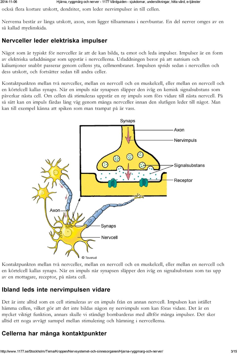 Impulser är en form av elektriska urladdningar som uppstår i nervcellerna. Urladdningen beror på att natrium och kaliumjoner snabbt passerar genom cellens yta, cellmembranet.